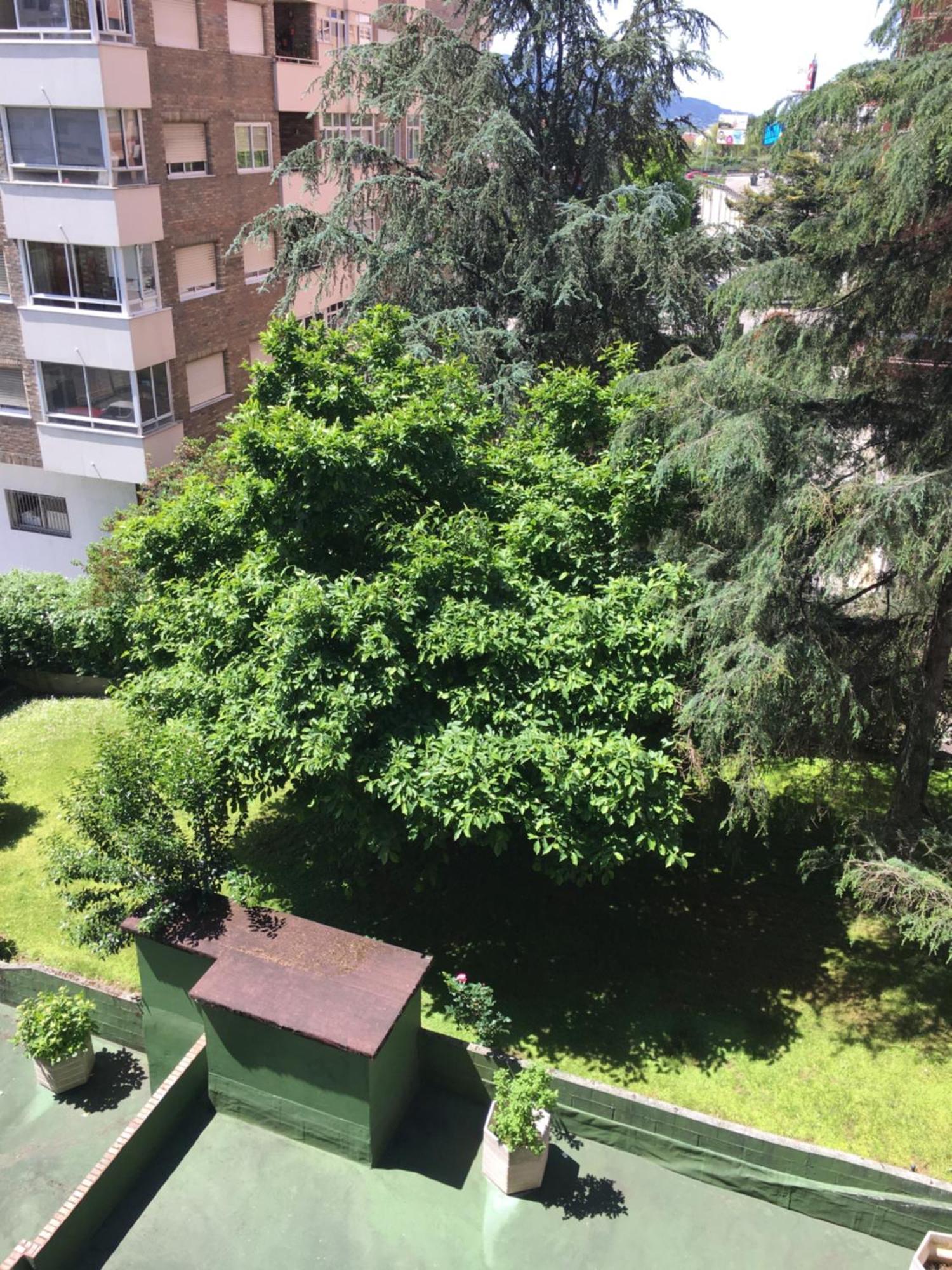 Gaivota Amplio Y Luminoso Con Plaza De Garaje Lägenhet Vigo Exteriör bild